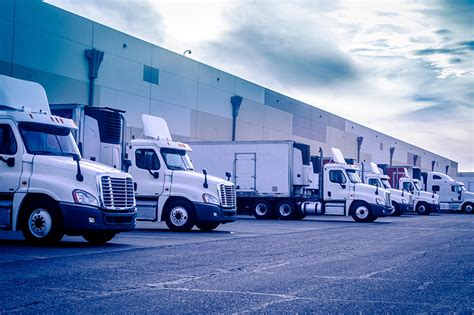 muse freight reviews